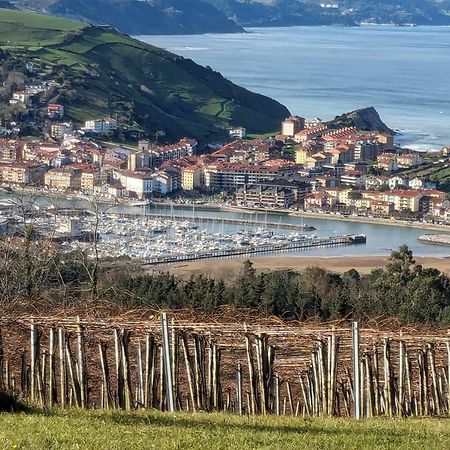 Zumaia Basque Alai Apartman Kültér fotó