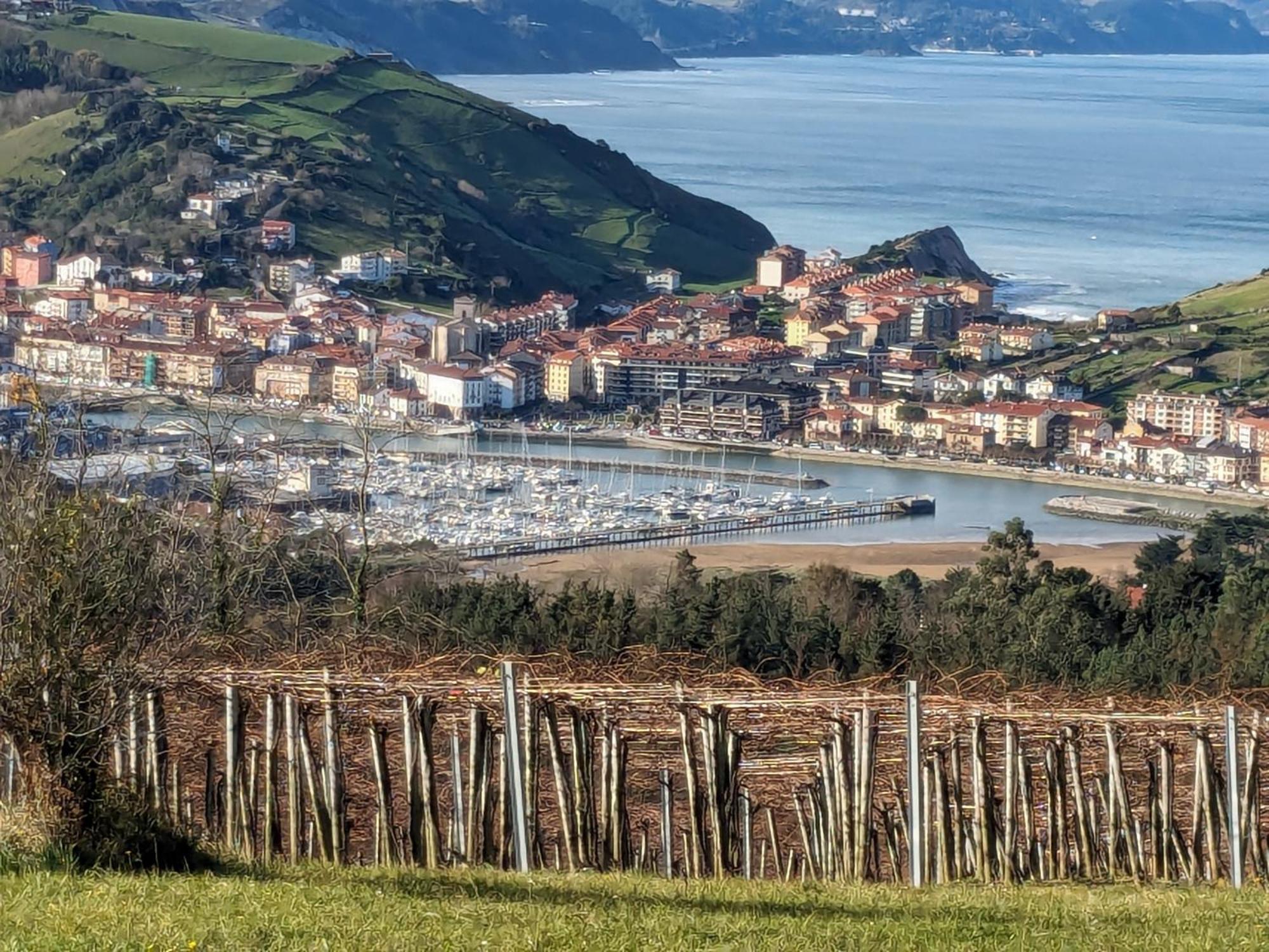 Zumaia Basque Alai Apartman Kültér fotó